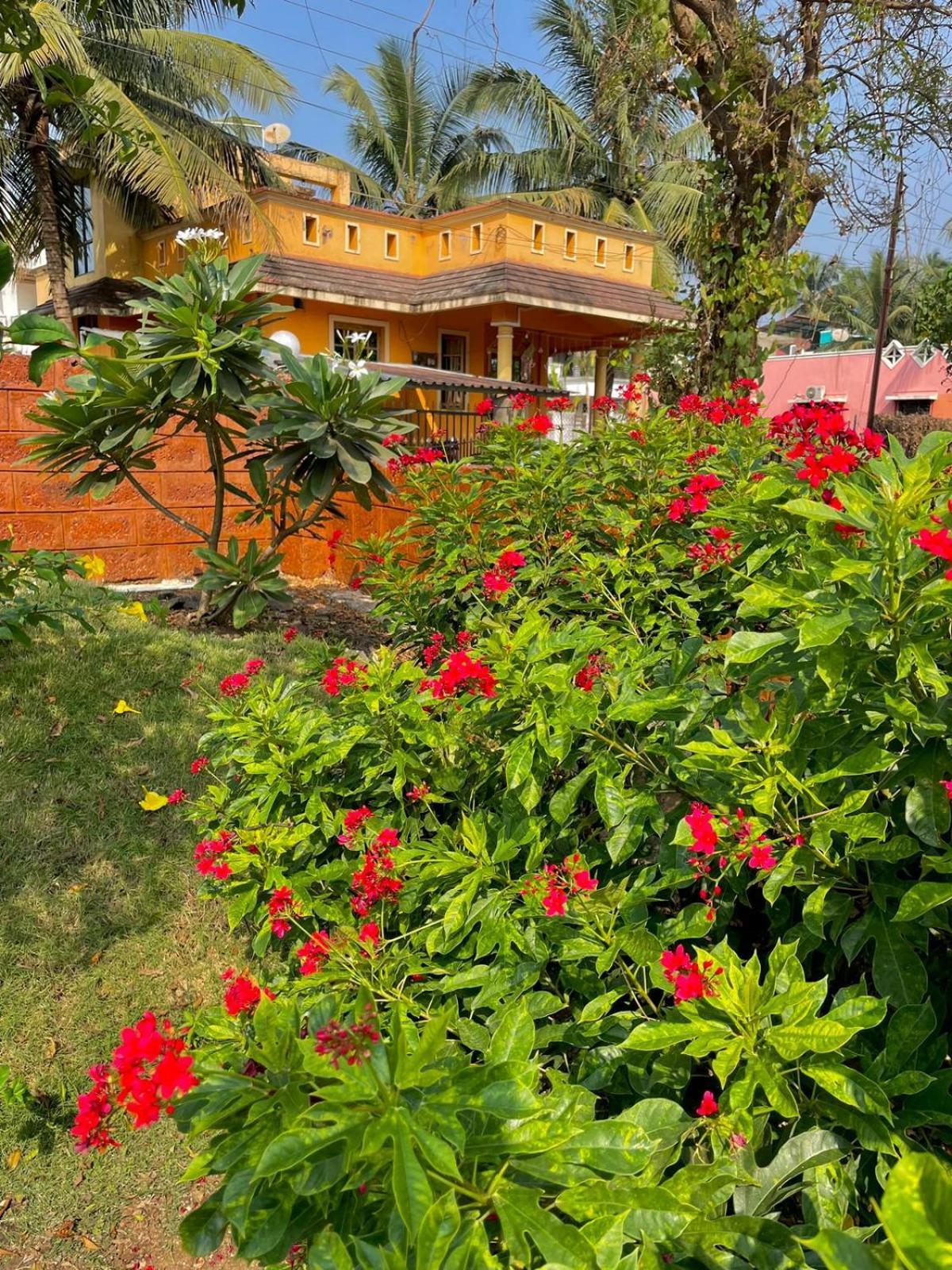Scarlet Resort Alībāg Eksteriør bilde